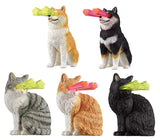 Mekara Beam [All 5 type set(Full Complete)]