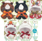 Okigae poncho New Year 2026 [All 5 type set(Full Complete)]