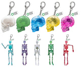 Science Technicolour Skeletons in Skeleton Color [All 10 type set(Full Complete)]