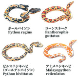 1/12 Kubinimakuhebi [All 4 type set(Full Complete)]