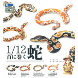 1/12 Kubinimakuhebi [All 4 type set(Full Complete)]