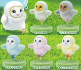 Running Barn Owl Baby Standing Figure [All 6 type set(Full Complete)]