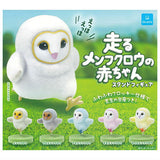 Running Barn Owl Baby Standing Figure [All 6 type set(Full Complete)]