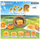 Pantami [All 5 type set(Full Complete)]