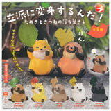 Rippanihenshinsurunda! Tanuki to kitsune no ochibasashi [All 5 type set(Full Complete)]