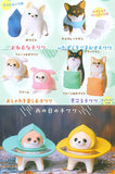 Animal Attraction Chihuahua Gurashi [All 8 type set(Full Complete)]