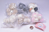 Marumimineko no maarui nuigurumi [All 6 type set (Full Complete)]