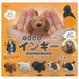 Tenohira size Engie plush toy [All 5 type set(Full Complete)]