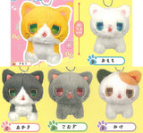 Perorin! Shimawasure nyanko Plush Mascot [All 5 type set(Full Complete)]