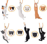 Cat Catch [All 6 type set(Full Complete)]