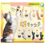 Cat Catch [All 6 type set(Full Complete)]