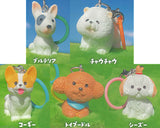 Kokodayo Mascot Osanpo Wanwan [All 5 type set (Full Complete)]