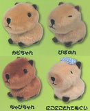 Nohohon Capybara-chan Plush Toy [All 4 type set (Full Complete)]