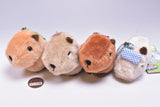 Nohohon Capybara-chan Plush Toy [All 4 type set (Full Complete)]