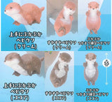 PukaPuka Baby Otter [All 6 type set (Full Complete)]