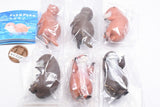 PukaPuka Baby Otter [All 6 type set (Full Complete)]
