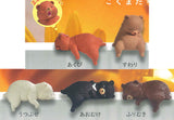 Fuchiyasumi Bear [All 5 type set(Full Complete)]