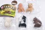 Fuchiyasumi Bear [All 5 type set(Full Complete)]