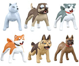 Narabundesu. Ginga Nagareboshi Gin [All 6 type set (Full Complete)]