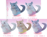 Chinchillari. [All 5 type set(Full Complete)]