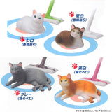 Cat Curling [All 4 type set (Full Complete)]