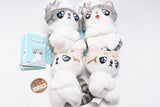 Pien Cat Mint Petit Plush Toy [All 4 type set(Full Complete)]