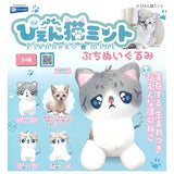 Pien Cat Mint Petit Plush Toy [All 4 type set(Full Complete)]