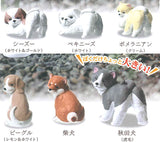 Furimukeba kimi ga... Dog Ayumi [All 6 type set(Full Complete)]