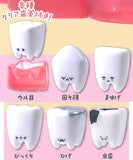 Konnichiha CLEAR [All 6 type set(Full Complete)]