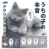 Uchinoko no honne Acrylic Stand [All 4 type set (Full Complete)]