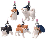 Shiba Inu Netsuke Part.3 [All 5 type set(Full Complete)]