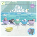 Kyomo,Sukusukuseichochu Aquarium [All 5 type set(Full Complete)]