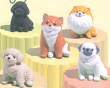 Osuwari-nu Part.3 [All 5 type set (Full Complete)]