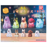 Big Glowing Mateboke dog [All 5 type set (Full Complete)]