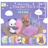 Uchinoko no ichinichi mada nemutakunaino! Bear and Panda [All 5 type set (Full Complete)]