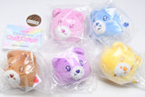CareBears Plush Badge [All 5 type set (Full Complete)]