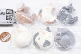 Mabushiinyan Part.2 [All 6 type set(Full Complete)]