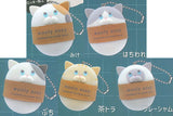wooly morly Cat Soap Figure Mascot [All 5 type set(Full Complete)]
