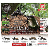 Beetle Gashapon 10 [All 5 type set(Full Complete)]