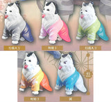 Samoedo [All 5 type set(Full Complete)]