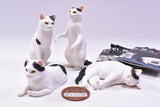 ART IN THE POCKET Osamu Moriguchi Cat Figure mascot Figure Mascot 3 [All 4 type set(Full Complete)]