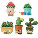 Kaori Takahashi Sukusuku Planters! [All 5 type set(Full Complete)]