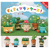 Kaori Takahashi Sukusuku Planters! [All 5 type set(Full Complete)]