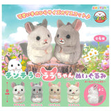 Chinchilla Lala-chan plush toy [All 4 type set (Full Complete)]