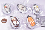 Puritto Oyster Mascot [All 5 type set(Full Complete)]