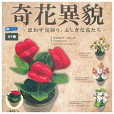 Kikaibou Omowazu mimagau fushigina hana-tachi [All 4 type set (Full Complete)]