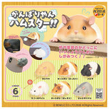 Ganbariyan Hamster!! [All 6 type set(Full Complete)]