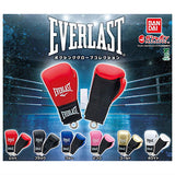 EVERLAST Boxing Glove Collection [All 6 type set(Full Complete)]