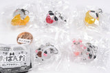 Ao Panda Mejirushi Accessory [All 5 type set(Full Complete)]
