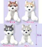 Siberian Husky Plush Toy [All 4 type set(Full Complete)]